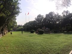 -中山大学学者灵芝(园南路店)