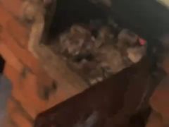 -鱼窝棚柴火铁锅炖(富山屯店)