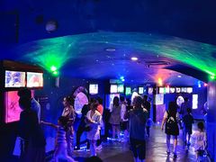 -烟台海昌鲸鲨海洋公园