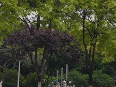 -石家庄市植物园