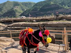 -陕西黄河壶口瀑布旅游区