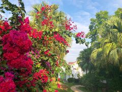 -厦门日月谷温泉渡假村