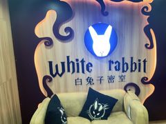 -白兔子密室(长寿路店)