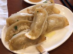 鲜肉锅贴-小姜锅贴(凤凰街店)