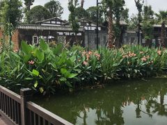 -枫香湖儿童公园