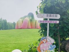 -圣露庄园·亲子活动乐园·露营·团建婚礼