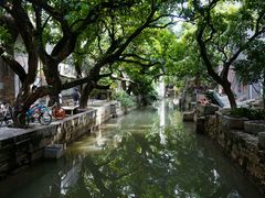 -小洲村