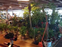 绿色植被-山道健身游泳舞蹈(曙光店)