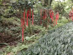 -梦姑塘文化公园