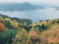 -花亭湖风景名胜区
