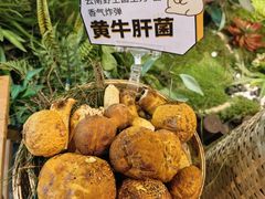 -菌彩云南野生菌火锅(新亚洲店)