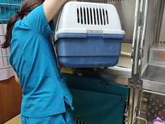 -美联众合动物医院·24h转诊中心