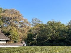 -灵顺寺