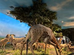 -国家自然博物馆