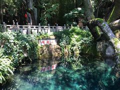 -蝴蝶泉公园