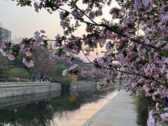 -海棠花溪(元大都城垣遗址公园)