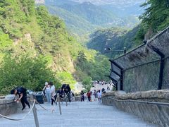 -泰山风景名胜区