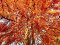-明月山天沐温泉度假村