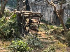 -石排湾郊野公园