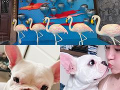 -Apple零售店(成都太古里店)