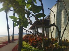 -石梅湾艾美度假酒店