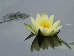 -青岩古镇