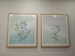 -颜蕾医美·黄金微针·水光·玻尿酸·超声炮·抗衰中心