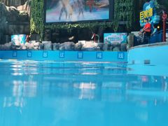 -青岛东方影都融创水世界