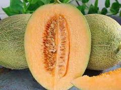 西州蜜-e佳鲜果(四方坪店)