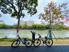 -GIANT捷安特自行车专卖店(金桥台儿庄路店)