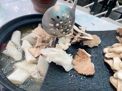 -蘑统田下·野生菌火锅