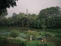 -东莞植物园