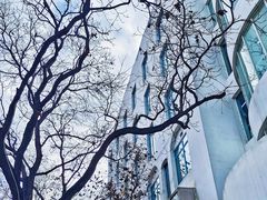 -三里屯东五街银杏大道