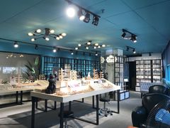 -Trend1881视光·蔡司视觉(领展广场店)