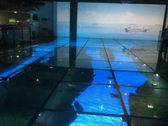 -上海长江河口科技馆