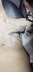 -刺客纹画·纹身·洗纹身.穿孔饰品