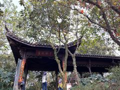 -杭州半山国家森林公园