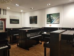 -柏斯琴行(汾阳店)