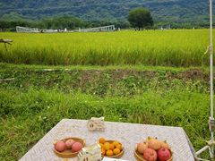 -艾米稻香小镇
