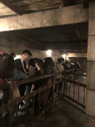 点击看大图 -翱翔飞越地平线