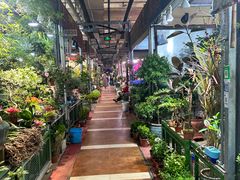 -朝来春花卉市场