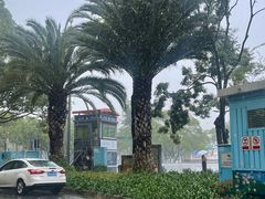 -大观篆新农贸市场