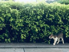 -南丰汇(新港东路店)