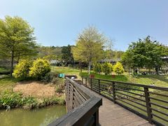 -王借岗森林公园
