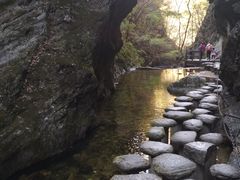 -牛背梁国家森林公园