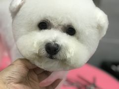 -宠福鑫康馨动物医院·骨科·眼科