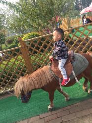 -萌宠亲子动物乐园(槐房万达店)