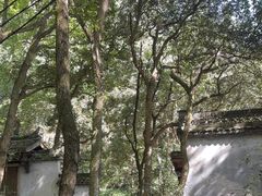 -富春桃源风景区