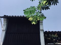 -小河无名面馆