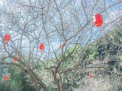 -广州市白云山风景名胜区